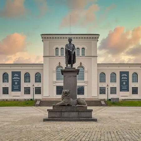 Apartament Cozy In Center